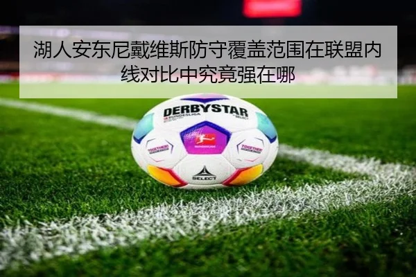 湖人安东尼戴维斯防守覆盖范围在联盟内线对比中究竟强在哪